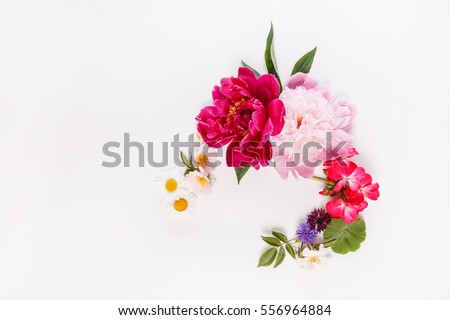 nice flowers Royalty-Free Stock Photo #556964884