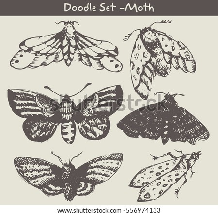 moth doodle set