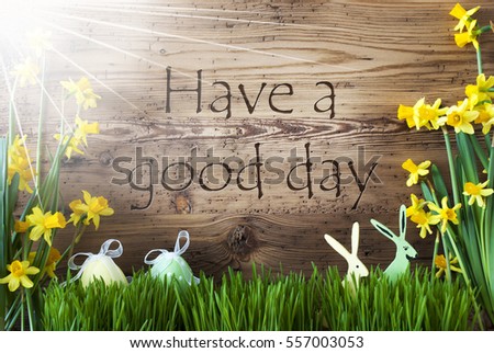 Sunny Easter Decoration, Gras, Text Have A Good Day