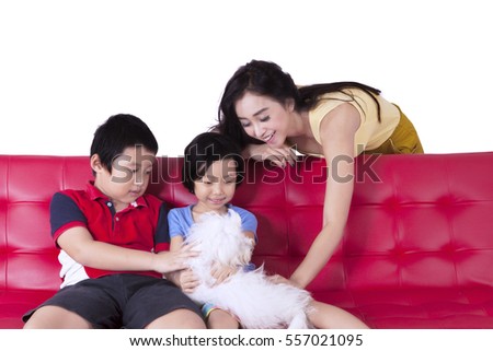 Picture of young mother and children playing with a maltese dog, isolated on white background 
