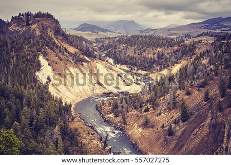 Vintage toned canyon in Yellowstone National Park on rainy day, Wyoming, USA.