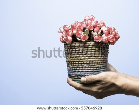 A pastel pink flower on water hyacinth flowerpot on man's hand beg for love