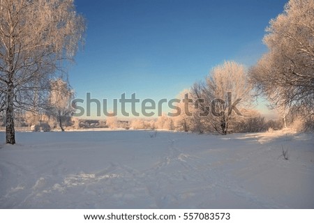 Nature in a clear frosty day. Snow, trees covered with frost. Blue sky. A path in the snow. Place for text. Wallpapers, calendar, picture, illustration, printing