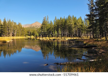 Charming shallow lake. Mountains and forest are reflected in smooth "mirror" of water