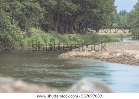 River along sandy beach with rocky coastline and forest 