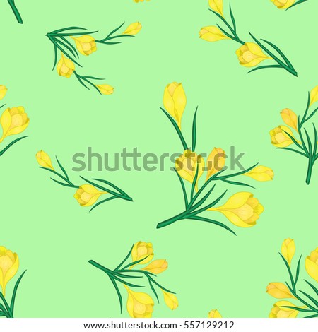 Beautiful spring seamless pattern with Yellow crocuses.The flowers of saffron on a light green background.Cute Vector illustration.Print for gift wrapping,fabric, paper,postcards and website design.