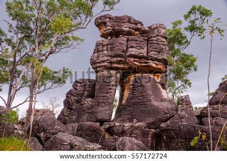 The Lost city rock formations in Litchfield National Park in Australia's Northern Territory falls can only be reached by a 4x4 track.