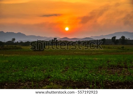 Homegrown vegetable and mountain view with sunset sky nature landscape background.
