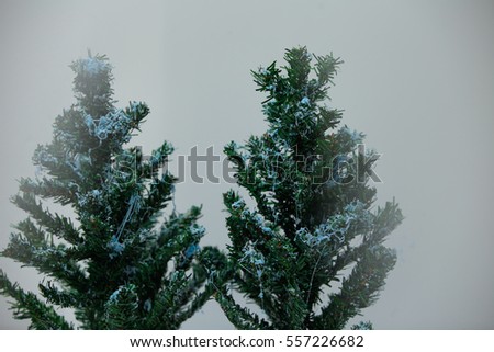 Closeup of Christmas-tree background.