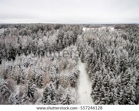 aerial view of winter forest covered in snow. drone photography