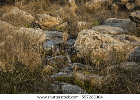 Stones in the creek