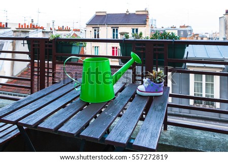 Little garden on balcony - little flower pot with plant and decorative watering can on wooden table against city roofing. 