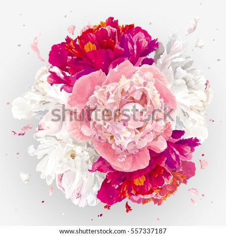 Luxurious pink, red and white peony flower spherical composition for wedding decoration, Valentine's Day, sales and other events Royalty-Free Stock Photo #557337187