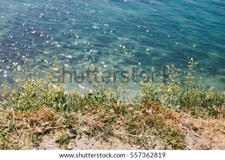 view from a cliff in the Black Sea in Russia Gelendzhik district  Royalty-Free Stock Photo #557362819