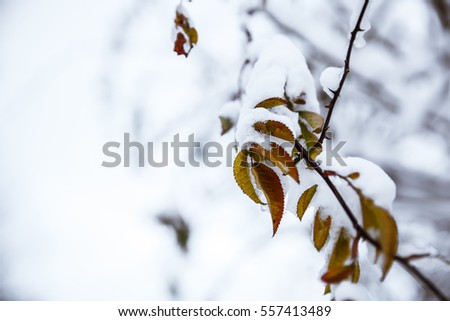 background for design on a theme of autumn