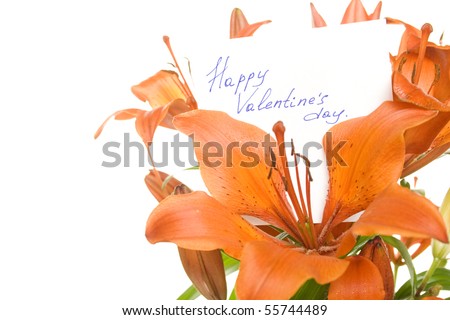 Orange tiger lily isolated on white background. In the color card Happy Valentines Day