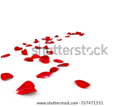 Rose petals lying on the floor. Isolated white background