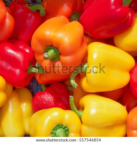 colorful bell peppers, natural background