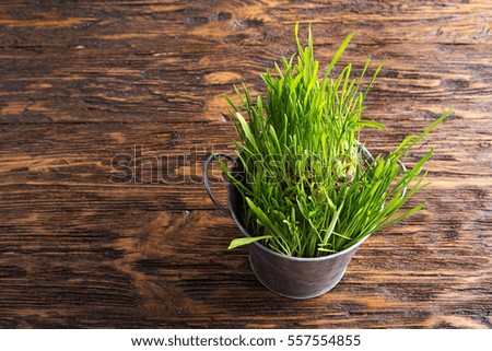 sprouted wheat on the wooden background