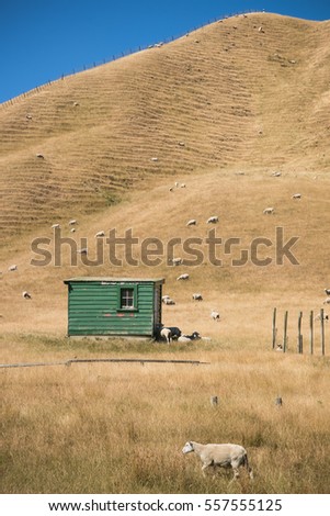 picturesque old farm implement shed in drought stricken coastal sheep farming hills, Gisborne, East Coast, North Island, New Zealand  