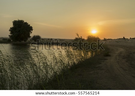 Golden sunset in the desert. The landscape of desert and lake.