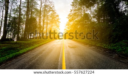 Scenic route through the forest. Royalty-Free Stock Photo #557627224