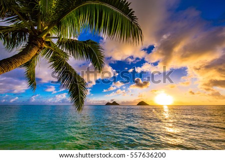 Beautiful Lanikai, Kailua Sunrise in Hawaii Royalty-Free Stock Photo #557636200