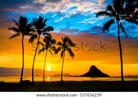 Beautiful Sunrise from Chinaman's Hat on Oahu, Hawaii Royalty-Free Stock Photo #557636239