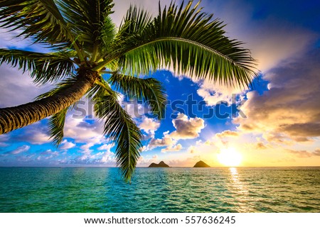 Beautiful Lanikai, Kailua Sunrise in Hawaii Royalty-Free Stock Photo #557636245