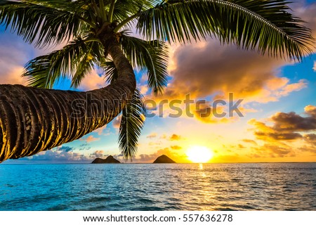 Beautiful Lanikai, Kailua Sunrise in Hawaii Royalty-Free Stock Photo #557636278