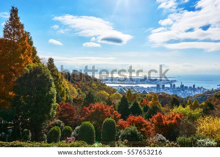 Color of Japanese's autumn forest in a sunshine day. Colorful of autumn season in sunny morning. City of Kobe was seen as background of the picture.