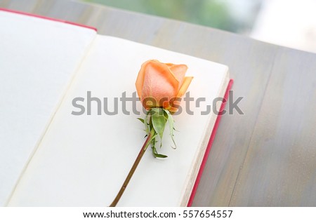 Rose flower on open red hardcover book near windows in living room.