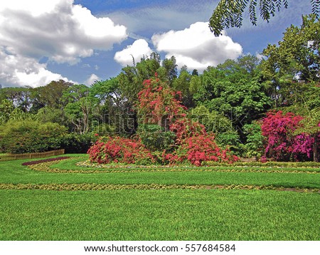Plants and Trees Blooming in Cypress Gardens Located in Central Florida