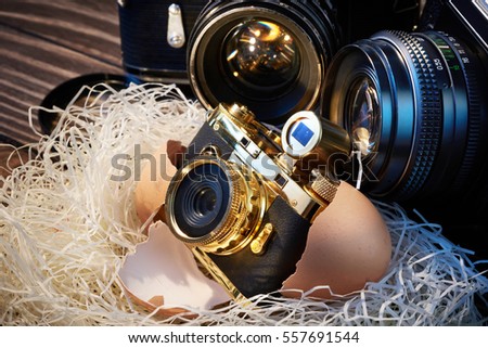 Concept big SLR cameras and small compact as  parents and baby in the nest