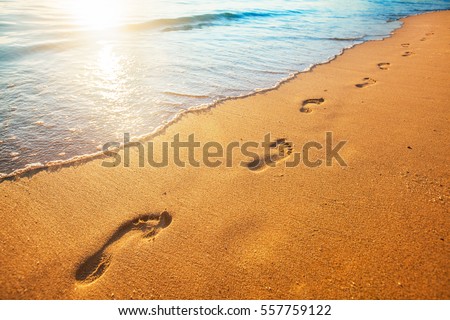 beach, wave and footprints at sunset time Royalty-Free Stock Photo #557759122