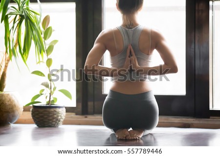 Young woman practicing yoga with namaste behind the back, sitting in seiza exercise, vajrasana pose, working out, wearing sportswear, grey pants, bra, indoor, home interior background, rear view Royalty-Free Stock Photo #557789446