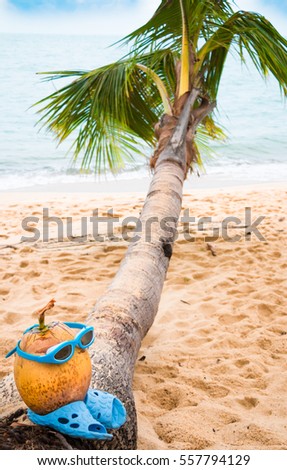 Yellow fresh coconut with glasses for swimming on palm trunk  with palm leaves and sand ocean sunset  beach, Samui, Thailand.