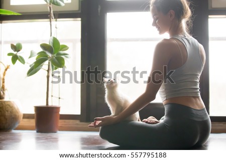 Young attractive smiling woman practicing yoga, sitting in Half Lotus exercise, Ardha Padmasana pose, working out, wearing sportswear, grey pants, bra, indoor, home interior background, cat near her Royalty-Free Stock Photo #557795188