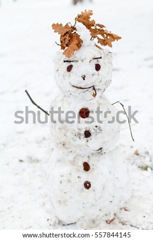Picture of a funny snowman in the park