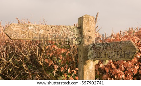 "Tarka Trail, Public Footpath" Wooden Sign Covered with Moss and Lichens in a Hedgerow in the Rural Village of Eggesford in Devon, England, UK