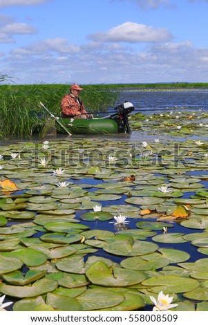 Summer landscape of a fisherman in a boat on the lake with white lilies