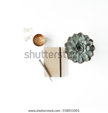 Feminine home office workspace with succulent, diary and golden clips on white background. Flat lay, top view