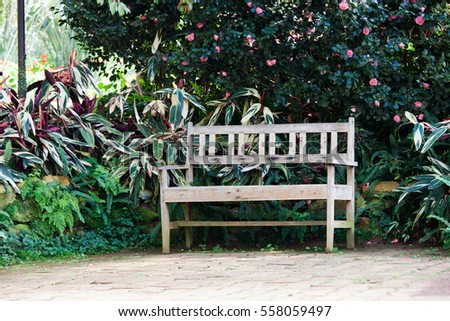 empty bench among green park