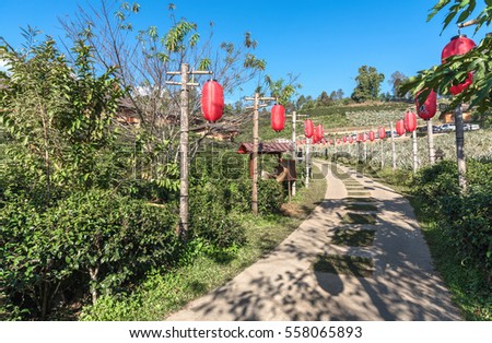 Chinese village road with red lanterns.