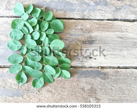 Moringa leaves in natural light on wood background with copy space, selected focus area. Alternative Medicine