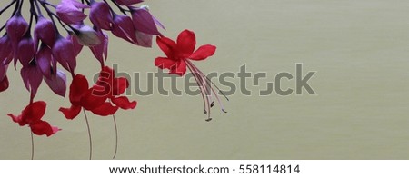 a beautiful red flowers and purple buds from upper side of frame for websites and template 