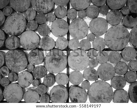 black and white of stack wooden wall texture background, wall to cut down the tree. Wall decorated with cut down a tree