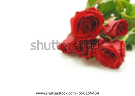 blurry rose picture for valentine day background