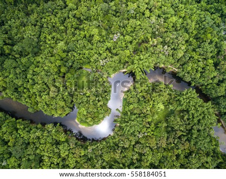 Top View of Amazon Rainforest, Brazil Royalty-Free Stock Photo #558184051