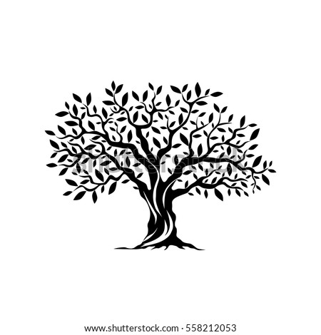 Olive tree silhouette icon isolated on white background. Web infographic modern vector sign. Premium quality illustration logo design concept pictogram.